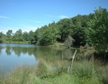 san bernardino del lago