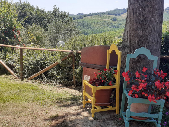 il pino foto giardino 20