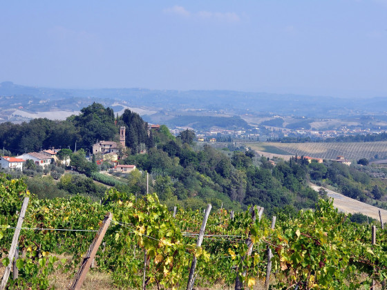 il pino foto panorama 22