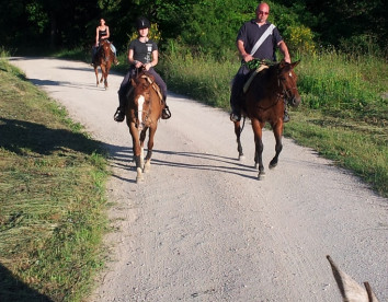 La Contessa Quarter Horse