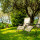 preview image6 giardino