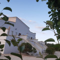 Terra Dei Profumi 