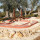 preview image6 esterno