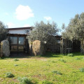 Su Nuratolu