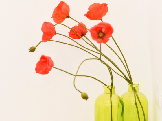 Torrechiara Eco dimora di charme foto dettaglio 35