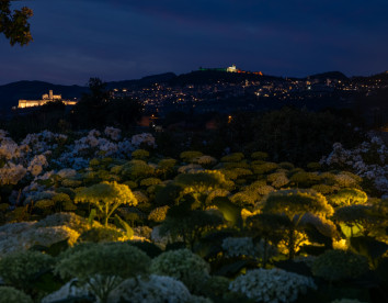 Il Fienile di Assisi