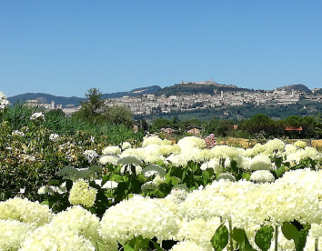 Il Fienile di Assisi