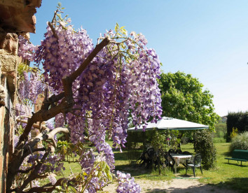 Podere Caggiolo