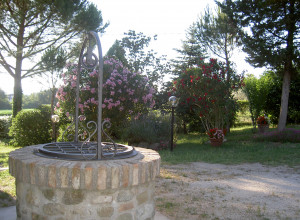 image15 Casalemaria