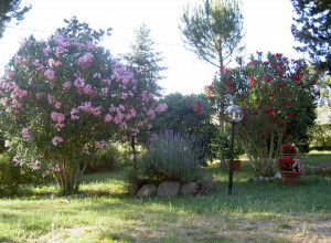 image11 Casalemaria