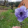 preview image6 esterno
