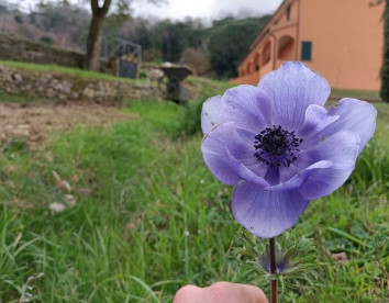 Agriturismo Regno di Toscana