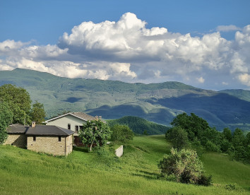 Il Noce d'Oro