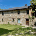 Il Noce D'Oro