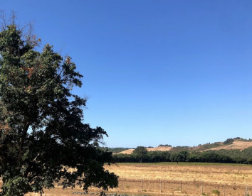 Il Paradiso di  Berignone