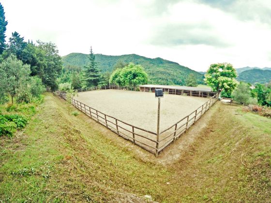 Corbolini - foto 36