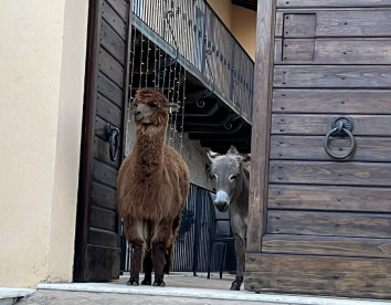 Borgo Incantato Spoleto