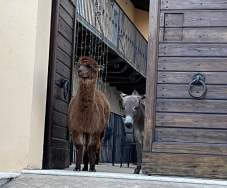 Borgo Incantato Spoleto - Umbria