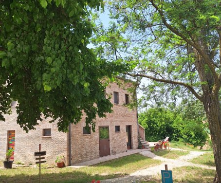 Farm-house La Faccenda - Morro D'Alba