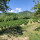 preview image15 dintorni