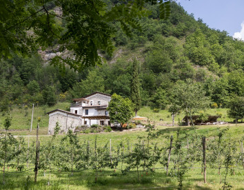 Di là dall'acqua 