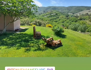 Tenuta San  Felice