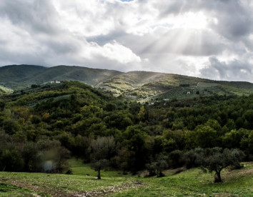 Tenuta San  Felice