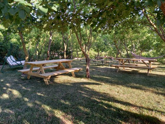 Tenuta San  Felice - foto 9