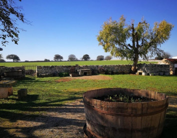 Masseria La Gatta Matta