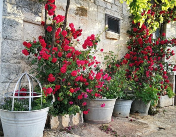 Masseria La Gatta Matta