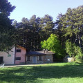 La Corte Dei Pini