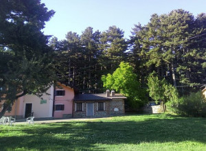 la corte dei pini - Lernbauernhöfe