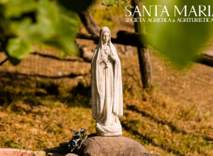image3 Santa Maria