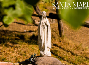 image14 Santa Maria