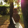 preview image11 esterno
