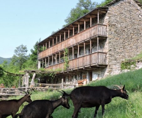 Casa-rural Corte Merina - Cossogno