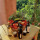 preview image4 nostri_prodotti