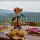 preview image3 ristorante