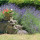 preview image20 esterno