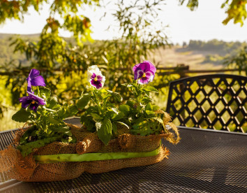 Podere Agrituristico Luchiano