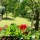 preview image7 giardino