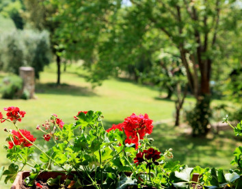 Podere Agrituristico Luchiano