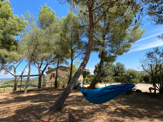 Sterrati foto zona_relax 35