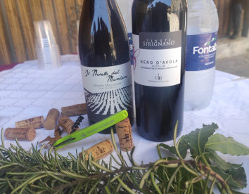 Sirignano Wine Resort
