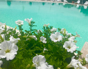 Sirignano Wine Resort