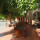 preview image18 ristorante