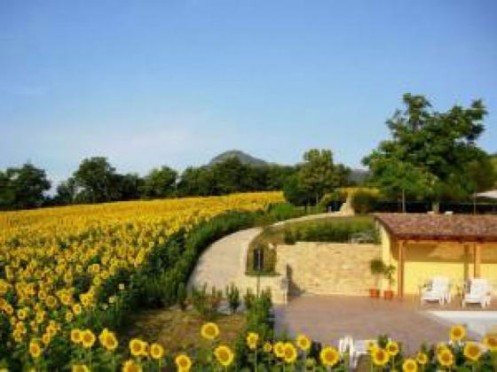Le Querce - foto 44