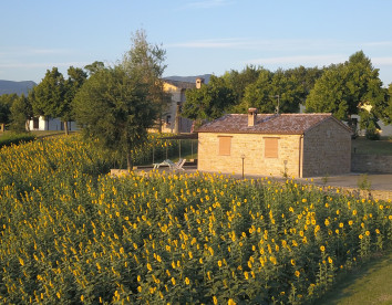 le querce