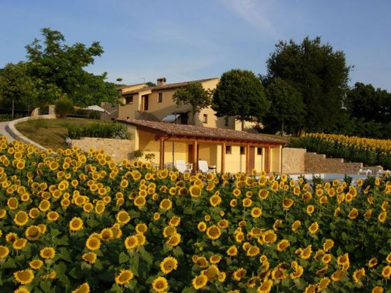 Le Querce - foto 36