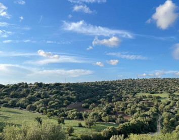 Oasi di pace nel verde